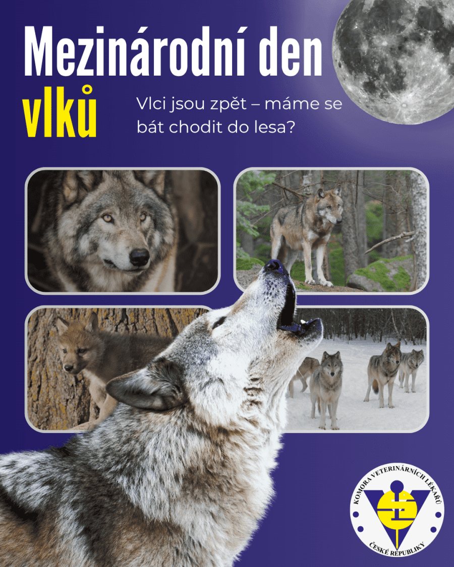 2026-08-13-Mezinárodní den vlků-Evropský den národních parků (9).png